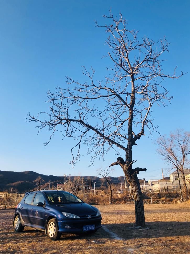 日产骐达汽车：街头的“小钢炮”