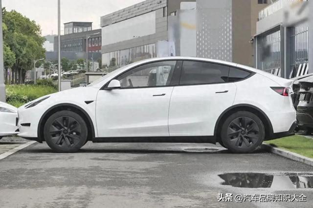 2024款特斯拉Model Y优缺点 