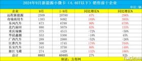 新能源小微卡预计破10万辆 远程/奇瑞争第一 江淮暴涨704% -图5