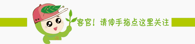 2024年10月轿车销量排行：海鸥断崖式领先，秦L第3，小米SU7第13 