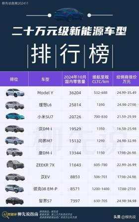 国内二十万元级新能源车：唐DM第6，小米SU7第3，冠军月销超3万辆 -图4