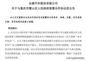 曝光｜众泰复活，首款新能源产品将推出小型纯电动车？ -图4