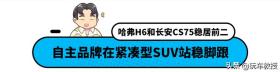 7.77万元起！空间堪比汉兰达，长安欧尚X7如何？ 